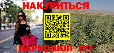 спайс Славгород